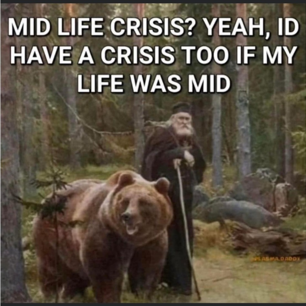 Meet your Posher, Avyn